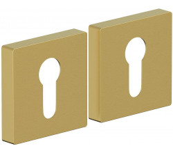 Накладка цилиндровая на квадратной розетке Bravo AS-6CL Sgold