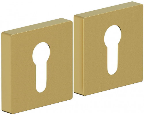 Накладка цилиндровая на квадратной розетке Bravo AS-6CL Sgold