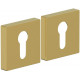 Накладка цилиндровая на квадратной розетке Bravo AS-6CL Sgold