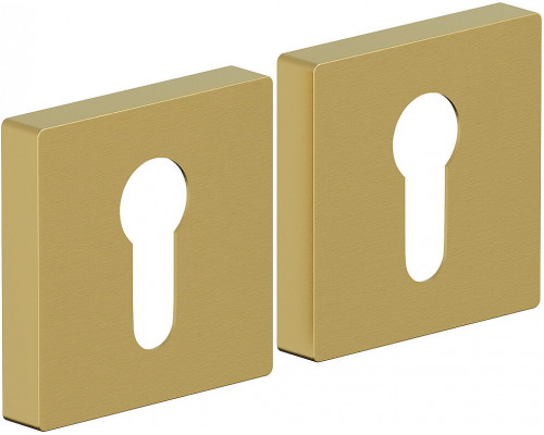 Накладка цилиндровая на квадратной розетке Bravo AS-6CL Sgold