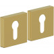 Накладка цилиндровая на квадратной розетке Bravo AS-6CL Sgold