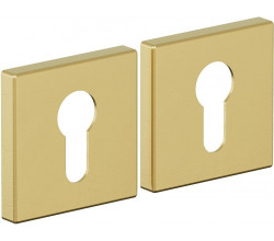 Накладка цилиндровая на квадратной розетке Bravo AS-3CL Sgold