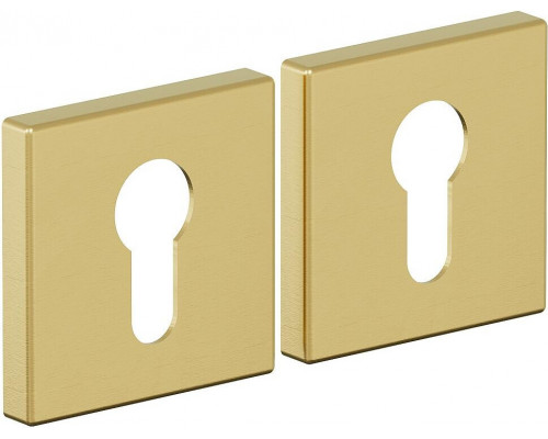 Накладка цилиндровая на квадратной розетке Bravo AS-3CL Sgold