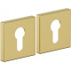 Накладка цилиндровая на квадратной розетке Bravo AS-3CL Sgold