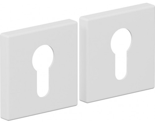 Накладка цилиндровая на квадратной розетке Bravo AS-3CL Swhite