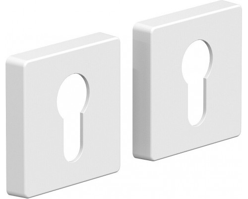 Накладка цилиндровая на квадратной розетке Bravo System R011Y МатБелый (AL315)