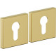 Накладка цилиндровая на квадратной розетке Bravo AS-3CL Sgold