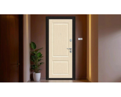 Дверь входная металлическая 